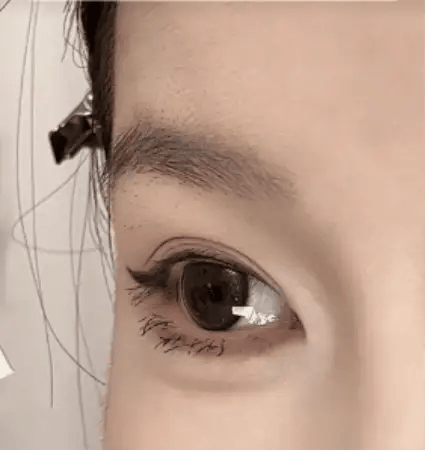 Dobshow™  Flawless Magnetic Eyelashes